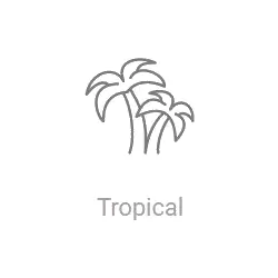 Record Tropical прямой эфир Логотип радиостанции Record Tropical