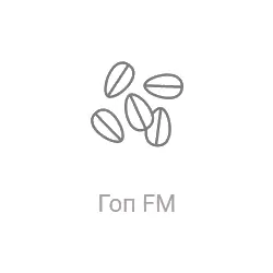 Радио Гоп ФМ прямой эфир Логотип радиостанции Гоп ФМ